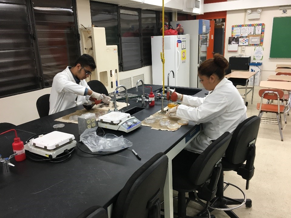 Laboratorios-Ciencia-Upward